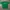 The North Face Streetwear Casual T-shirt Pria green photo 1