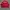 Adidas Casual Track jacket Pria white red photo 5