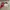 Adidas Casual Track jacket Pria white red photo 1