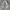 Vintage Y2K Bomber jacket Pria white blue photo 1