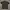 Minimalist Casual Polo shirt Pria green photo 2