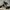 Adidas Streetwear Y2K Pria white black photo 2
