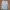 Ben Davis Streetwear T-shirt Pria white gray photo 1