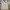 Giordano Streetwear Casual Polo shirt Pria gray photo 2