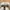 Converse Vintage Casual Casual shoe Pria white black photo 2