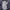 Nike Casual Hoody Pria silver navy photo 2