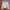 Biker Casual Leather jacket Wanita white photo 3