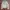 Biker Casual Leather jacket Wanita white photo 1