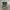 Topten Vintage Streetwear T-shirt Pria green photo 1