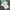 Stussy Vintage Streetwear T-shirt Pria white photo 1