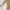 ZARA Minimalist Casual Casual Dress Wanita Tan Khaki