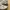 New Balance Sportswear Casual Sneakers Pria white photo 2