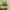 Puma Casual Sneakers Wanita white green photo 2