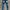 Rucas Streetwear Jeans Pria white blue photo 7