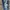 Rucas Streetwear Jeans Pria white blue photo 6
