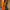 Casual Wanita orange photo 3