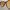 Y2K Casual Sunglass Wanita brown photo 4