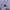 Coquette Casual Wanita purple photo 4