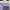 Coquette Casual Wanita purple photo 3