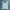 Brandy Melville Minimalist Casual Shirt Wanita White
