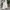 Muslim Baju muslim Wanita white photo 1