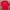 Lotto Sport Italia Sportswear Suit Pria red photo 1