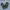 Uniqlo Casual Casual pants Pria green photo 4