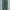 Uniqlo Casual Casual pants Pria green photo 1