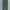 Uniqlo Casual Casual Pants Pria Green