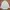 Burberry Casual T-shirt Pria white photo 1
