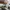 Adidas Casual Sneakers Pria tan photo 6