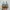 Adidas Casual Sneakers Pria tan photo 4