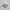 Adidas Casual Sneakers Wanita white gray photo 1