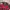 New Era Y2K Hat Pria burgundy photo 6