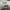 Sportswear Sneakers Pria white photo 7
