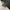 Asics Sportswear Sneakers Pria multicolor photo 1