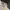 Onitsuka Tiger Casual Casual shoe Pria white black photo 1