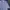 Balenciaga Luxury Formal shirt Pria white blue photo 2