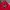 Japanese brand Grunge Avant Garde Formal shirt Pria red photo 4