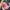Von Dutch Biker Skater Hat Pria pink photo 1