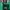 The North Face Minimalist Suit Pria green photo 2