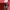 The North Face Minimalist Suit Pria red pink photo 4