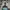McGregor Vintage Y2K Track jacket Pria cream photo 2