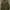 Casual Parka Pria green photo 3