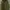 Casual Parka Pria green photo 2