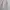 Uniqlo Streetwear Casual Cardigan Wanita Cream