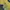 Japanese brand Casual Sweater Pria navy yellow photo 3