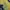 Japanese brand Casual Sweater Pria navy yellow photo 4
