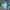 Nike Sportswear Sneakers Pria multicolor photo 3