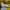 Nike Sportswear Jersey Pria yellow photo 5